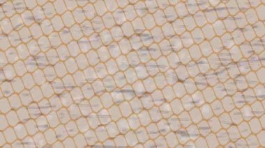 Yaratıcı video düzenleme film arkaplan tasarımı için minimalist organik hareket grafikleri