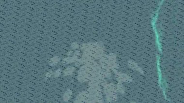 Benzersiz video giriş tasarımı projeleri için detaylı yüzey kalıbı film animasyon stili grafik girişi