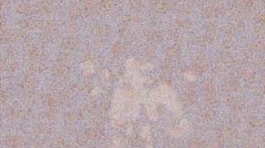 Estetik doku arkaplan tasarımı renkli hareket grafikleri ile moda film giriş profosyoneli