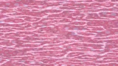 Modern medya üretimi için fütüristik dijital soyut doku sinematik tarz hareketli grafik ögesi