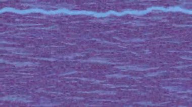 Yaratıcı video düzenleme film arkaplan tasarımı için minimalist organik hareket grafikleri