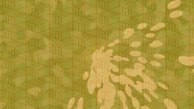 Benzersiz dijital hareket grafiklerine sahip yaratıcı sinematik projeler için yumuşak animasyon yüzeyi