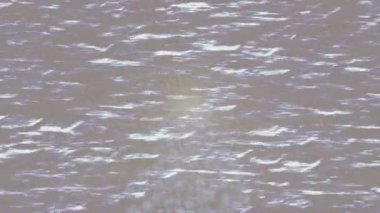 Benzersiz dijital hareket grafiklerine sahip yaratıcı sinematik projeler için yumuşak animasyon yüzeyi