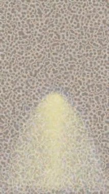 Benzersiz dijital hareket grafiklerine sahip yaratıcı sinematik projeler için yumuşak animasyon yüzeyi