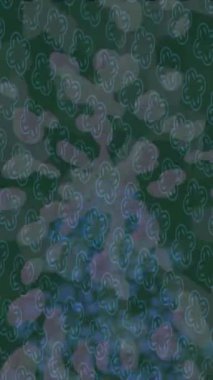 Benzersiz dijital hareket grafiklerine sahip yaratıcı sinematik projeler için yumuşak animasyon yüzeyi