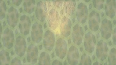 Lüks hareket tasarımı üst düzey video projeleri ve dijital sanat için zarif, pürüzsüz bir dokusu var.