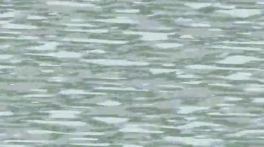 Yaratıcı video düzenleme film arkaplan tasarımı için minimalist organik hareket grafikleri