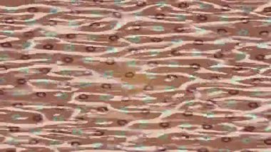 Lüks hareket projeleri için soyut tasarım stili animasyonu olan üst düzey dijital doku