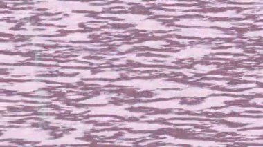 Benzersiz dijital animasyon tarzı grafikleri olan yaratıcı ortam tasarımı için yenilikçi hareket dokusu