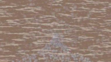 Profesyonel video projeleri sanat tarzı için organik hareketli arkaplan tasarımı