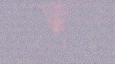 Benzersiz dijital hareket grafiklerine sahip yaratıcı sinematik projeler için yumuşak animasyon yüzeyi