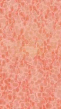 Yaratıcı video düzenleme film arkaplan tasarımı için minimalist organik hareket grafikleri