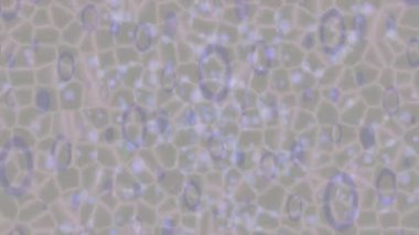 Dijital doku yüzey tasarım biçimi ile modern video animasyonu için gelişmiş hareket grafikleri