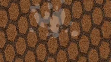 Yaratıcı video düzenleme film tasarımı için benzersiz hareket grafikleri biçimi giriş hareketi video pro