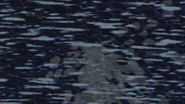 Yaratıcı video düzenleme film tasarımı için benzersiz hareket grafikleri biçimi giriş hareketi video pro