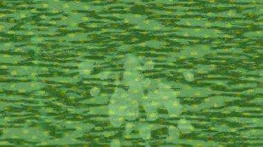 Benzersiz hareket grafikleri tasarım sanatına sahip yaratıcı film üretimi için özet bir arkaplan