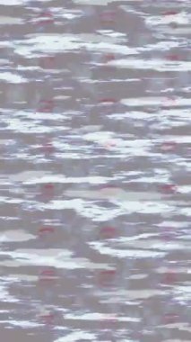 Benzersiz dijital animasyon tarzı grafikleri olan yaratıcı ortam tasarımı için yenilikçi hareket dokusu