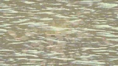 Benzersiz hareket grafikleri tasarım sanatına sahip yaratıcı film üretimi için özet bir arkaplan