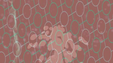 Yaratıcı video düzenleme film arkaplan tasarımı için minimalist organik hareket grafikleri