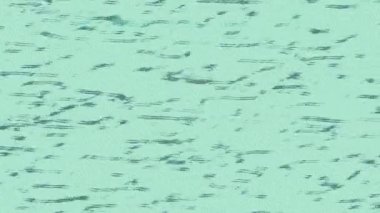 Benzersiz dijital hareket grafiklerine sahip yaratıcı sinematik projeler için yumuşak animasyon yüzeyi