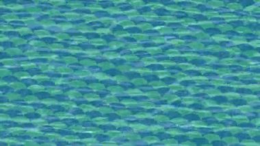 Yaratıcı video düzenleme film arkaplan tasarımı için minimalist organik hareket grafikleri