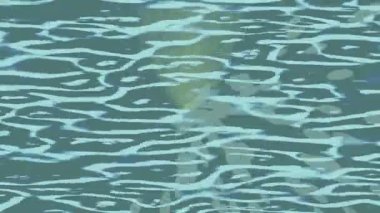 Yaratıcı video düzenleme film arkaplan tasarımı için minimalist organik hareket grafikleri