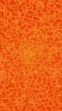 Yaratıcı video düzenleme film arkaplan tasarımı için minimalist organik hareket grafikleri