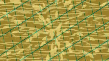 Lüks hareket tasarımı üst düzey video projeleri ve dijital sanat için zarif, pürüzsüz bir dokusu var.