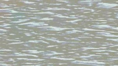 Lüks hareket tasarımı üst düzey video projeleri ve dijital sanat için zarif, pürüzsüz bir dokusu var.