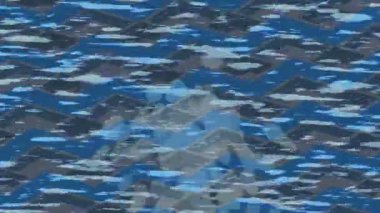 Benzersiz dijital hareket grafiklerine sahip yaratıcı sinematik projeler için yumuşak animasyon yüzeyi