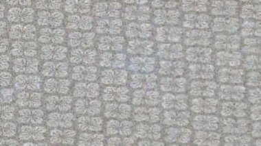 Lüks hareket projeleri için soyut tasarım stili animasyonu olan üst düzey dijital doku