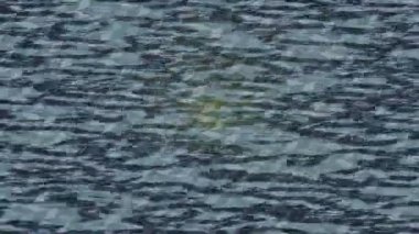 Lüks hareket projeleri için soyut tasarım stili animasyonu olan üst düzey dijital doku