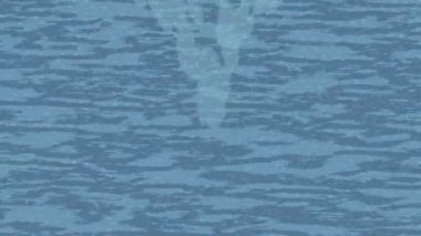 Lüks hareket tasarımı üst düzey video projeleri ve dijital sanat için zarif, pürüzsüz bir dokusu var.