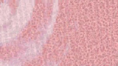 Benzersiz dijital hareket grafiklerine sahip yaratıcı sinematik projeler için yumuşak animasyon yüzeyi