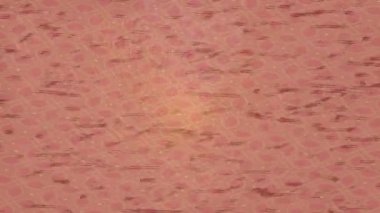 Benzersiz dijital hareket grafiklerine sahip yaratıcı sinematik projeler için yumuşak animasyon yüzeyi