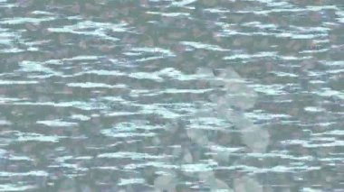 Benzersiz dijital hareket grafiklerine sahip yaratıcı sinematik projeler için yumuşak animasyon yüzeyi