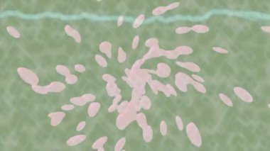 Lüks hareket projeleri için soyut tasarım stili animasyonu olan üst düzey dijital doku