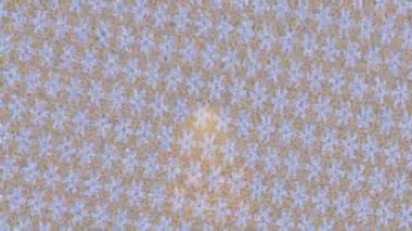 Yaratıcı video düzenleme film arkaplan tasarımı için minimalist organik hareket grafikleri