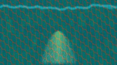 Dijital doku yüzey tasarım biçimi ile modern video animasyonu için gelişmiş hareket grafikleri