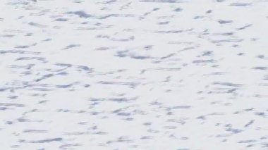 Lüks hareket tasarımı üst düzey video projeleri ve dijital sanat için zarif, pürüzsüz bir dokusu var.