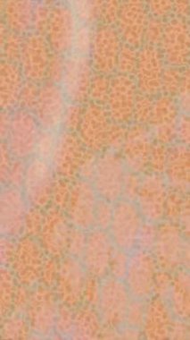 Organik desenli yüzey giriş stili video film sanatı ile soyut arkaplan tasarımı