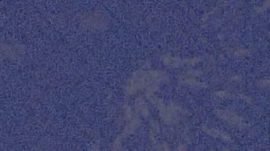 Dijital doku yüzey tasarım biçimi ile modern video animasyonu için gelişmiş hareket grafikleri