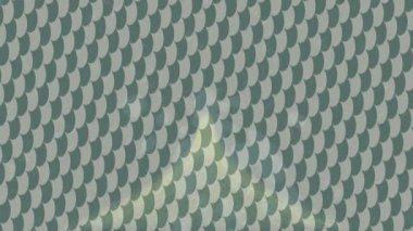 Profesyonel video projeleri sanat tarzı için organik hareketli arkaplan tasarımı