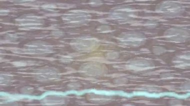 Benzersiz dijital animasyon tarzı grafikleri olan yaratıcı ortam tasarımı için yenilikçi hareket dokusu