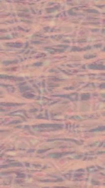 Lüks hareket tasarımı üst düzey video projeleri ve dijital sanat için zarif, pürüzsüz bir dokusu var.