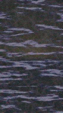 Yaratıcı video düzenleme film arkaplan tasarımı için minimalist organik hareket grafikleri