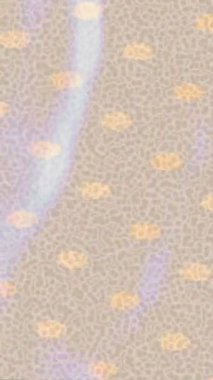 Yaratıcı video düzenleme film tasarımı için benzersiz hareket grafikleri biçimi giriş hareketi video pro