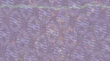 Benzersiz dijital animasyon tarzı grafikleri olan yaratıcı ortam tasarımı için yenilikçi hareket dokusu