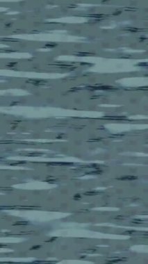 Yaratıcı video düzenleme film tasarımı için benzersiz hareket grafikleri biçimi giriş hareketi video pro