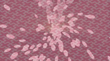 Yaratıcı video düzenleme film arkaplan tasarımı için minimalist organik hareket grafikleri